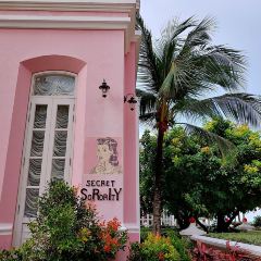 Pink Pearl by Olivier E. - JW Marriott Phu Quoc Emerald Bay Resort & Spa張用戶圖片