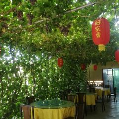 好家香饭庄 User Photo