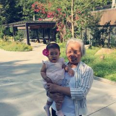 悠然山高山湿地公园西餐厅 User Photo