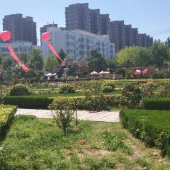 BA YU CAI GUAN 여행 사진