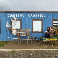 Caribou Crossing Coffee 여행 사진