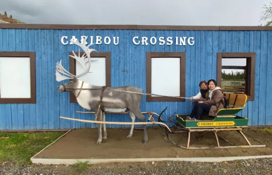 Caribou Crossing Coffee