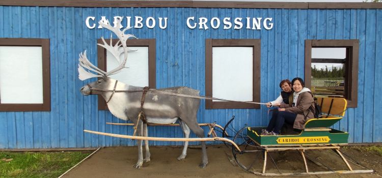 Caribou Crossing Coffee