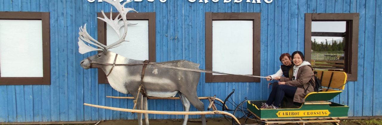 Caribou Crossing Coffee
