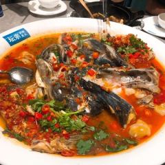TAN ZONG DUO JIAO YU TOU User Photo