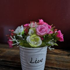 爱尚意式披萨(丰州店) User Photo