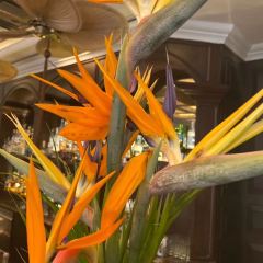 Quán Cafe La Terrasse du Metropole ảnh của người dùng