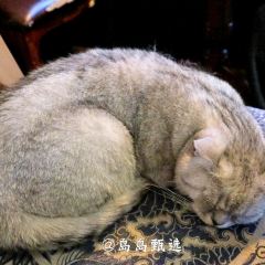 Day &Night Cafe User Photo
