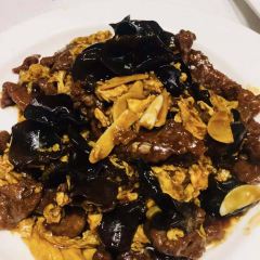 Jin Cai Collection User Photo