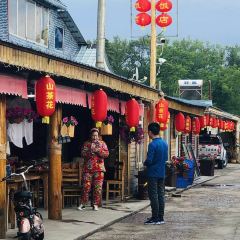 山茶花农家院 User Photo