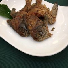 Shanghairenjia (huagonglu) User Photo