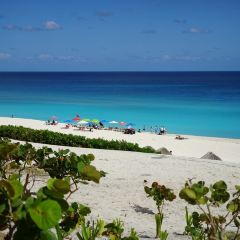 Mandala Beach Club User Photo