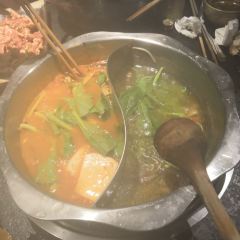 GUI CHU User Photo