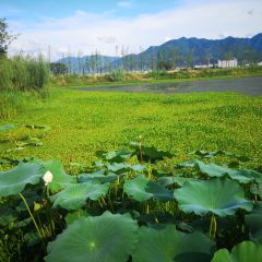 赋春园·江景园林餐厅 User Photo