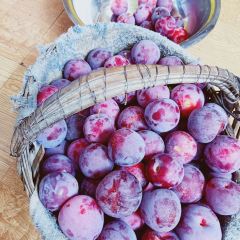 大丰收农家园 User Photo