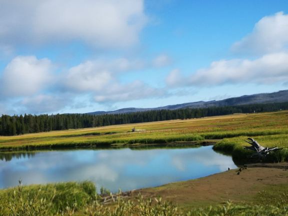 Fishing Bridge Visitor Center