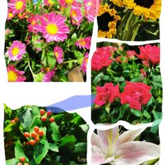 OCHRE RESTAURANT User Photo