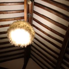 momo's home 여행 사진