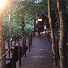 Kohi Morinotokei User Photo