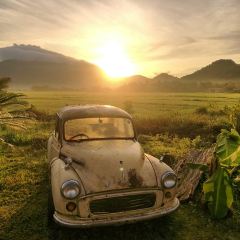 Nasi Dagang Pak Malau User Photo