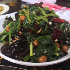 Wangjiayuwopeng (kangzhuang) User Photo