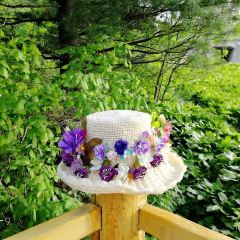 XIANG CUN NONG GU FAN DIAN User Photo