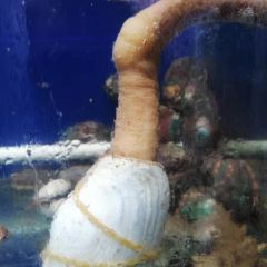 浩然漁家海鮮張用戶圖片