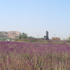 Zimo Huahai Xunyicao Manor User Photo