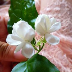 764烧烤(龙湖店) User Photo