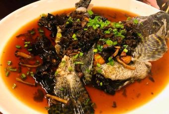 Peach Blossoms User Photo