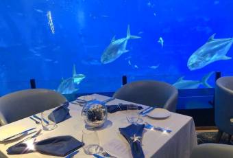 Ocean Restaurant user photo