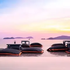 Baba nest User Photo