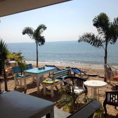 Phala Pier User Photo