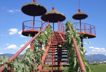 粗茶淡饭(松阳特色农家菜店) User Photo