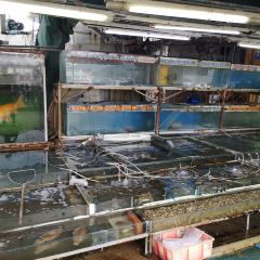 海龍王海鮮大排檔 User Photo