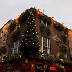 The Temple Bar Pub User Photo