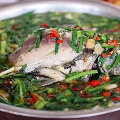 葱葱鲫鱼 User Photo