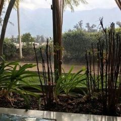 Zanzibar User Photo