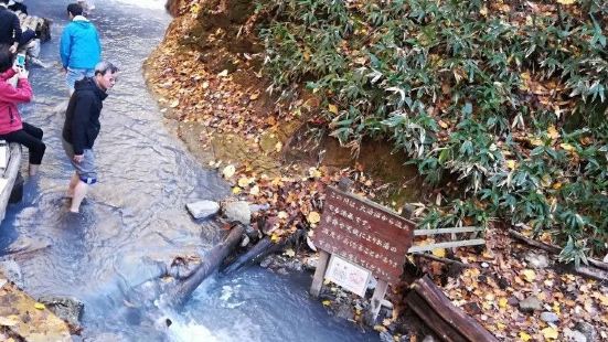 从大汤沼溢出的温泉沿着水道往下流，在平坦处形成这个免费的天然