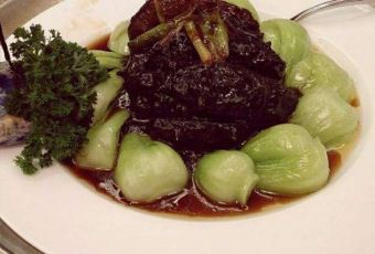 SPRING DEER User Photo