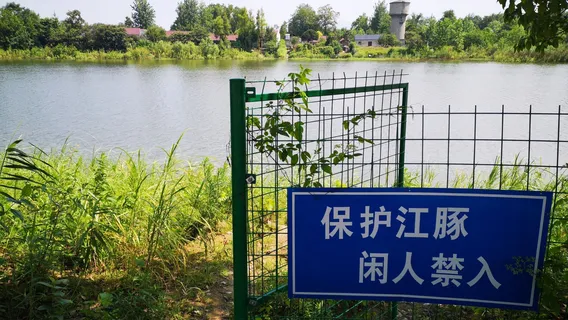 White-flag Dolphin Conservation Field