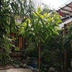 Moshanghuayuan Restaurant User Photo