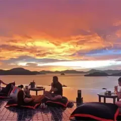 Baba nest User Photo