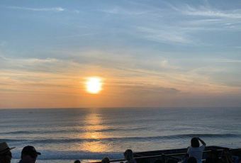 Single Fin User Photo