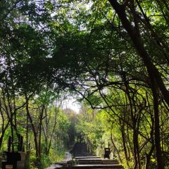 宾朋海鲜饭庄(兴海路店) User Photo