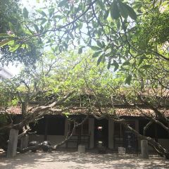 The Gallery Café User Photo