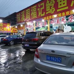 ZHENG ZONG LAO SHU JI NIAN YU ZONG DIAN User Photo