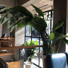 UPPER KITCHEN User Photo