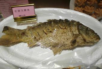 Zhengzhoukao Duck (renminluzong) User Photo