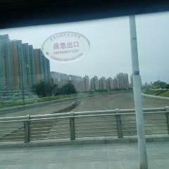 Damuzhi (dashenjie) User Photo